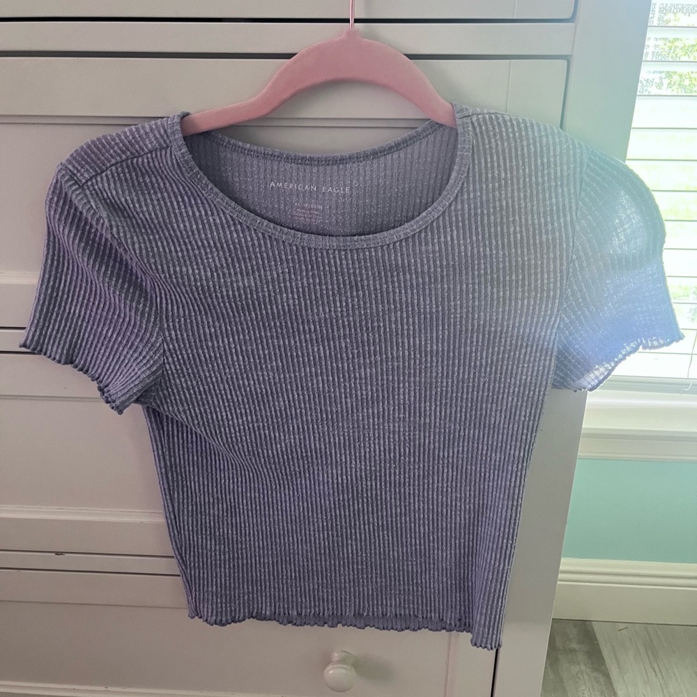 American Eagle Outfitters Gray Ribbed Crop T-Shirt
